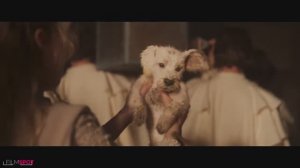 СУПЕРГЕРЛ  Супергерл встречает малыша Крипто Трейлер 2026