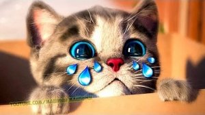 Приключения маленького Котенка обучение детей дошкольного возраста Веселая игра мультик для детей 26