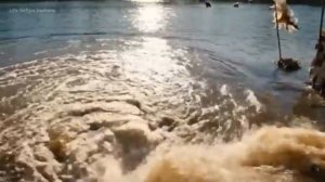 Тёмная тайна Дикого племени | Жизнь миллионы лет назад