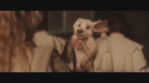 Супергёрл - (Малыш Крипто) Трейлер (Субтитры, Фильм 2026) Милли Олкок