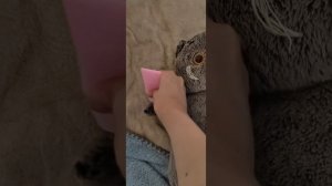 ночной влоооог!🦄