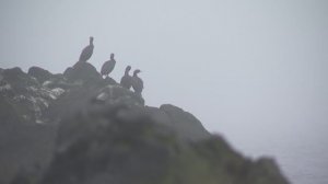 Тайна острова Матуа [недляэфира] 13