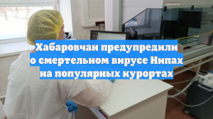 Хабаровчан предупредили о смертельном вирусе Нипах на популярных курортах