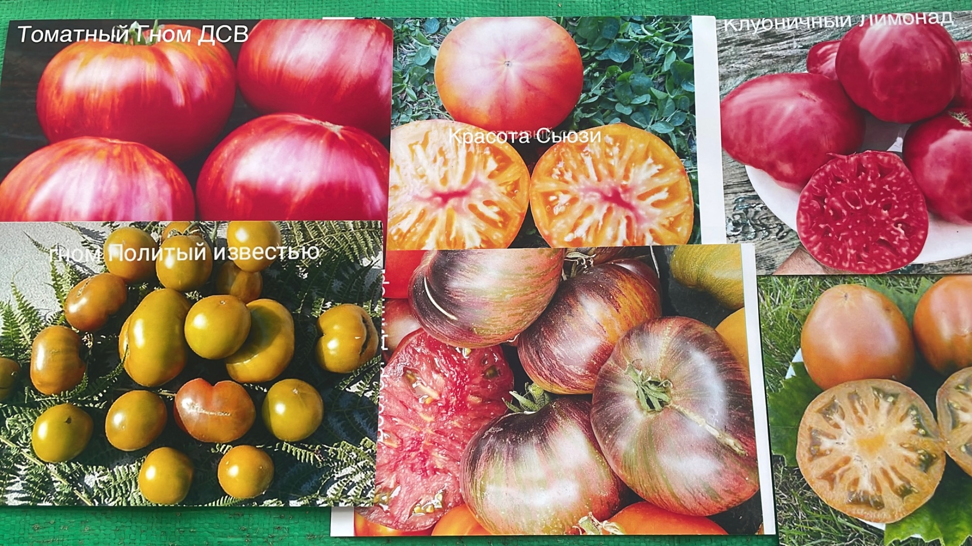 Сею Томатные Гномы и Сладкие перцы на рассаду. смотреть онлайн