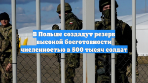 В Польше создадут резерв высокой боеготовности численностью в 500 тысяч солдат
