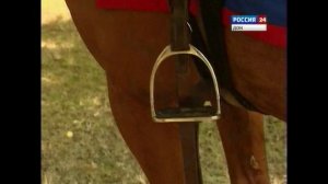 Казачий конь