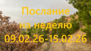 Послание на неделю 09.02.26 - 15.02.26
