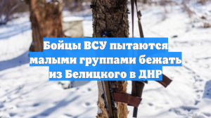 Бойцы ВСУ пытаются малыми группами бежать из Белицкого в ДНР