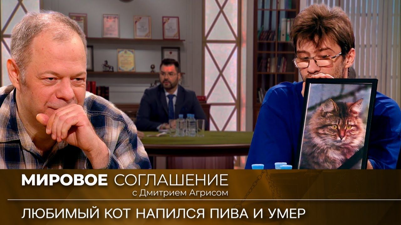 Мировое соглашение. Эфир от 19 февраля 2024 года