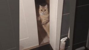 Интересно,чем он там занимается?🤨