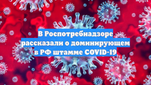 В Роспотребнадзоре рассказали о доминирующем в РФ штамме COVID-19