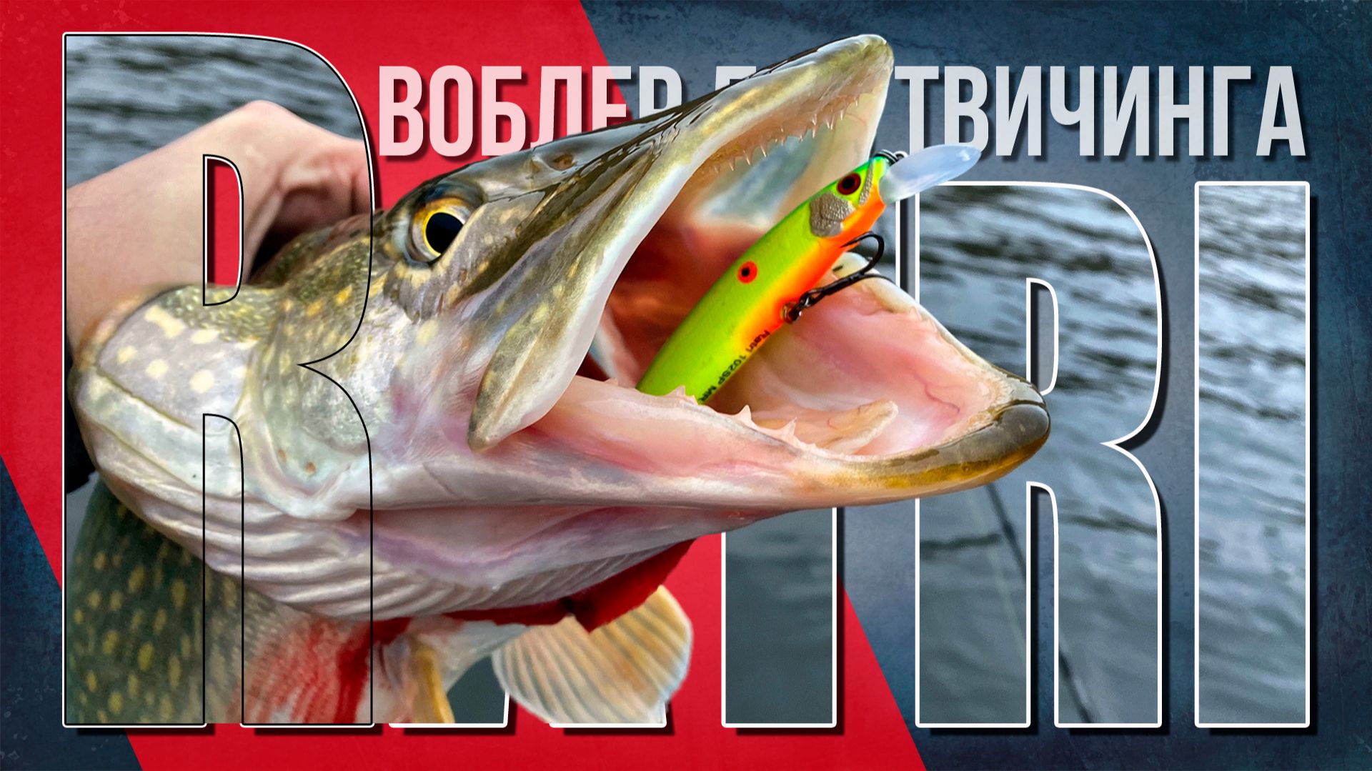  Ratri 102SP. Всё что нужно знать о бюджетнике для твичинга! 