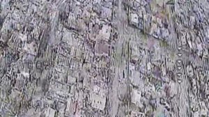 Забайкальские орнитологи контролируют популяцию вражеских птичек🤙😎🇷🇺🇷🇺🇷🇺