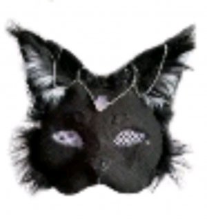 делаешь уроки