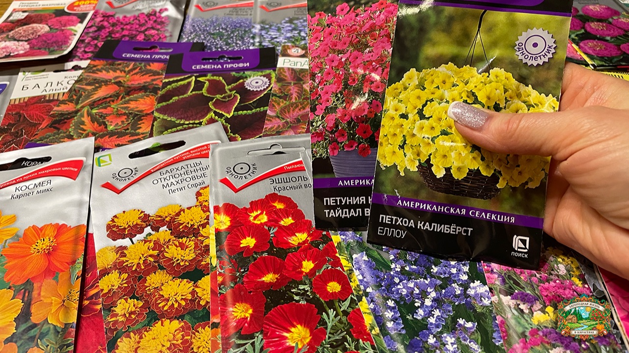 САМЫЕ КРАСИВЫЕ ЦВЕТЫ для 2026! Отличный выбор цветов смотреть онлайн