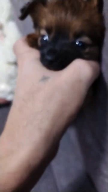 1000111046.mp4 смотреть онлайн