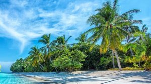 Музыка онлайн