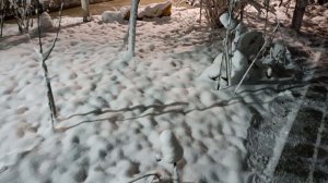 Вот такая вот жуть