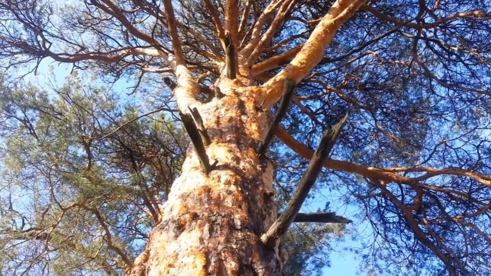 После дождя смотреть онлайн