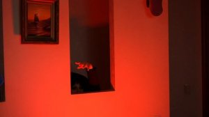 14 уйди уйди_