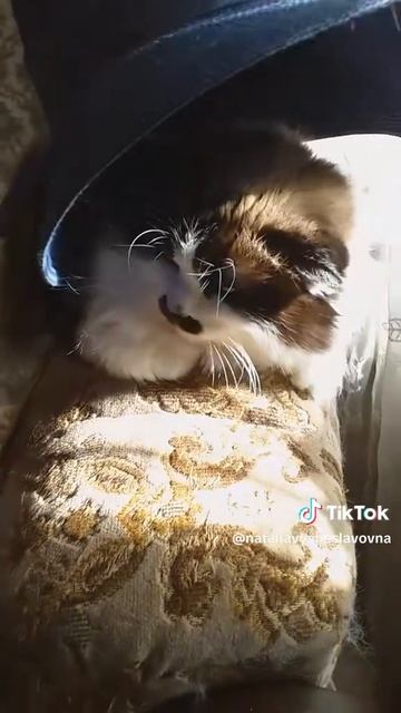 Где ты?...))) смотреть онлайн