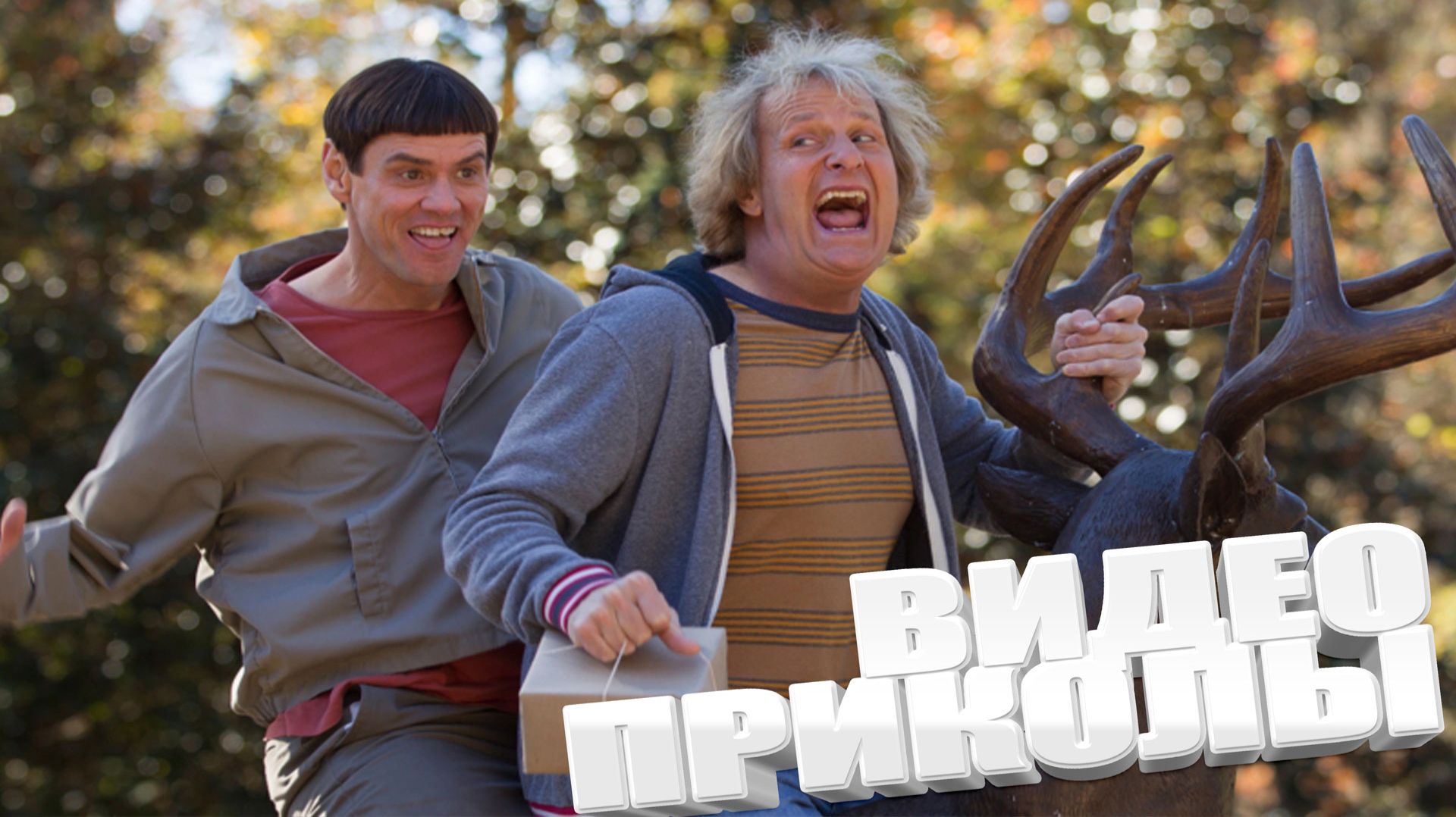 ПРИКОЛ \ ПОДБОРКА ПРИКОЛОВ Я РЖАЛ ДО СЛЕЗ, ЛУЧШИЕ ПРИКОЛЫ 2025 СМЕШНЫЕ ВИДЕО, ДЕВУШКИ , ПОДБОРКА смотреть онлайн