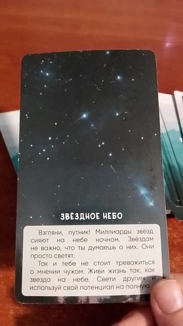 Волшебный лес на 10 февраля смотреть онлайн