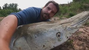 РЫБА-АЛЛИГАТОР-ГАРПУН