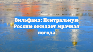 Вильфанд: Центральную Россию ожидает мрачная погода