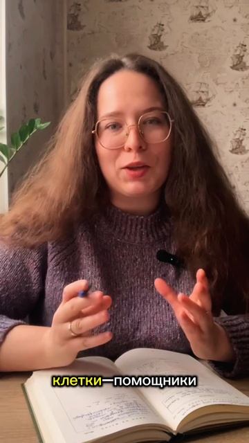 Женский мозг весит больше мужского правда или нет? 