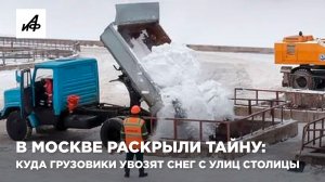 В Москве раскрыли тайну: куда грузовики увозят снег с улиц столицы