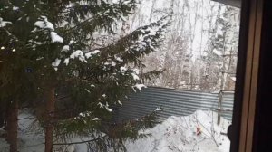 белки с утра