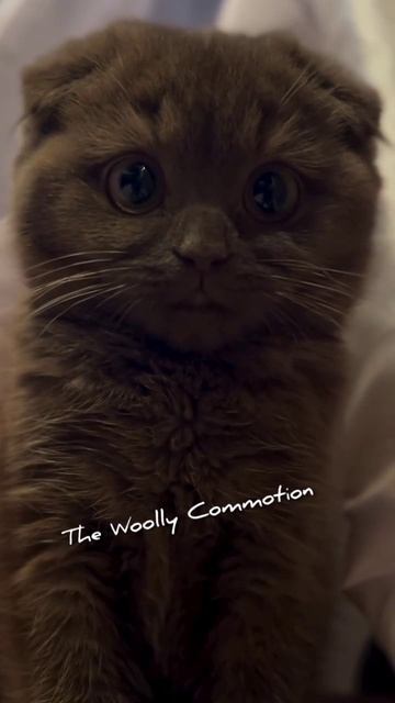 Эти глаза напротив смотреть онлайн