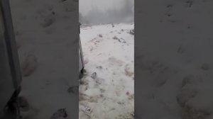 Большой творческий мусорный проект.