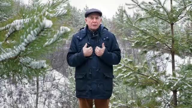 13-2 Бальзам для позвоночника. Станислав Лосев_ Желание управлять кем-то