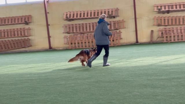 6. выражено/пож ДАЙМАНТЕН ШЛОСС ФЕРРАРИ (Ural v. Frankengold – Даймантен Шлосс Риска) смотреть онлайн