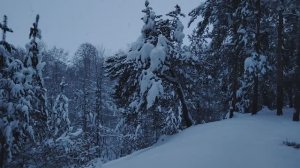 "Скрытые" моменты в общении. Посмотрел неправильное интервью. Моё мнение и выводы