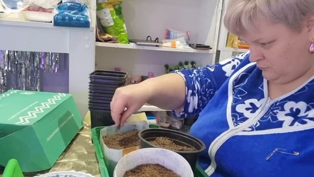 Сею лук как умею🙈🤣👍 смотреть онлайн