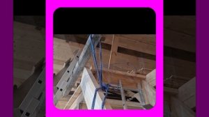 1000048159.mp4 (Собака наблюдает за устройством лестницы на 2 этаж в доме А-фрейм)