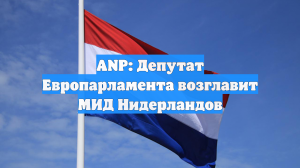 ANP: Депутат Европарламента возглавит МИД Нидерландов
