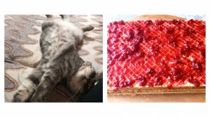 ДУРАКИ И ДОРОГИ. КОТ-ХРАПУША. ТОРТИК ИЗ ДЕТСТВА😋