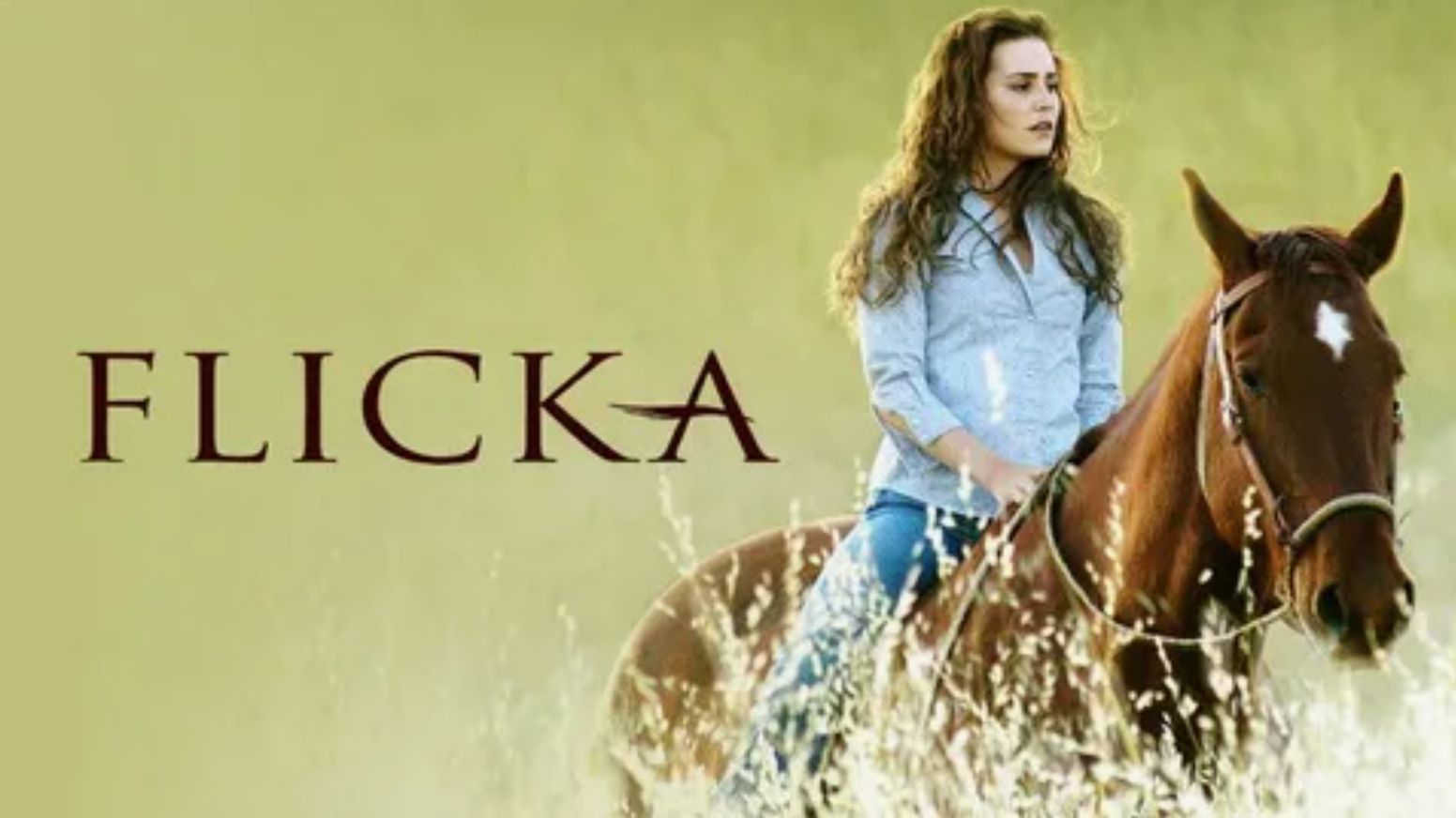 Флика (2006) / Flicka смотреть онлайн