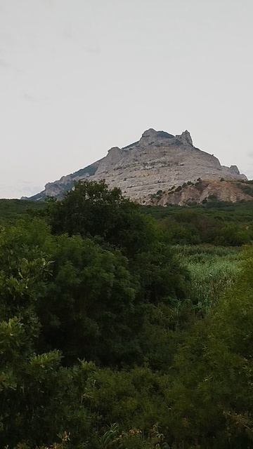 Гора Змейка - 5. смотреть онлайн