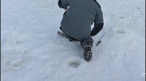 Спортзона.Поимки