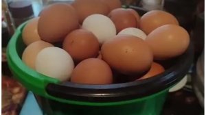 ЖИЗНЬ на ПЕНСИИ в ДЕРЕВНЕ//