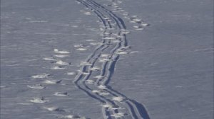 Прогулка по замерзшей Медведице