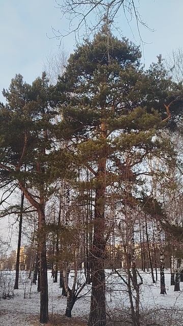 1000016455.mp4 смотреть онлайн