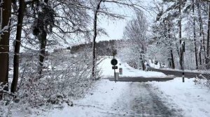 Снежная прогулка по Цюриху 2026 ❄️ Пешеходная экскурсия по Швейцарии в зимнюю страну чудес 🇨🇭