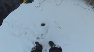 ЩУКА И ОКУНЬ НА БАЛАНСИР! Рыбалка в Астрахани 2026. Зимняя рыбалка 2026.