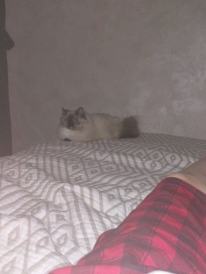 прохождение игры холф лайф 2 часть 3